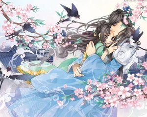 流氓软件网页入口在线观看免费